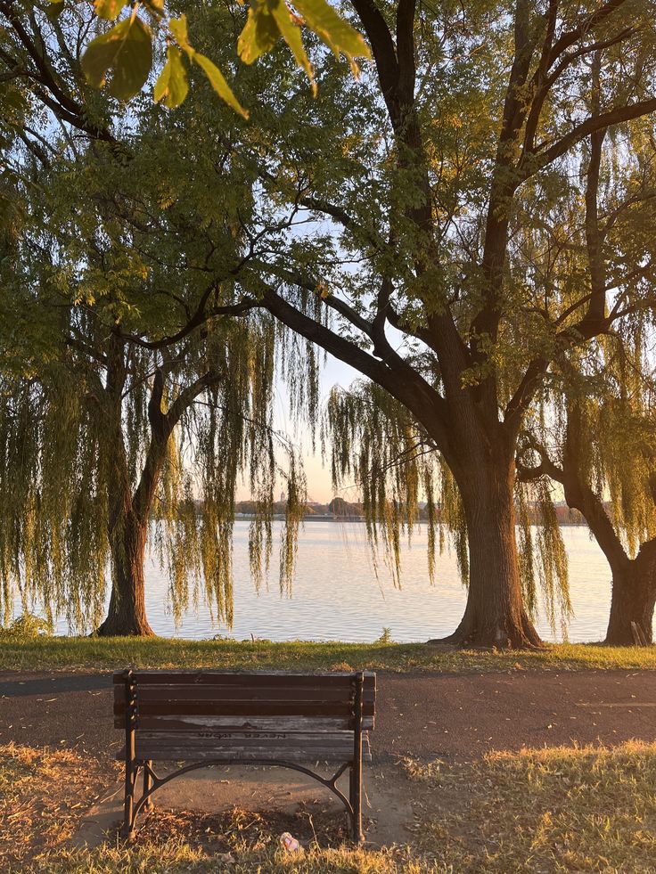 Menemukan Ketenteraman dalam Keheningan Alam